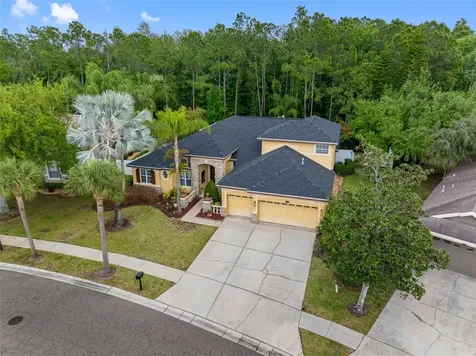 16750 Ivy Lake Drive Odessa FL 33556