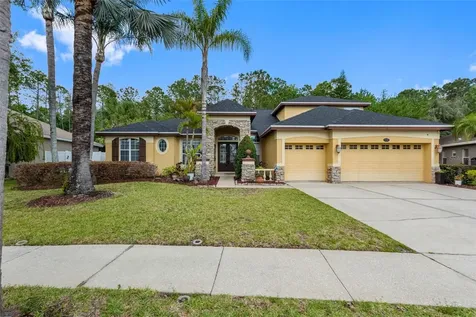 16750 Ivy Lake Drive Odessa FL 33556