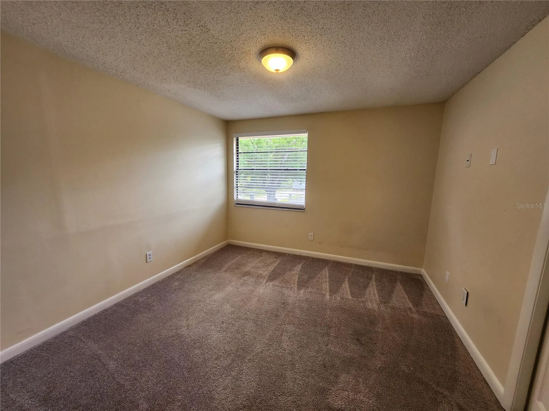 4913 Rockledge Circle Tampa FL 33624