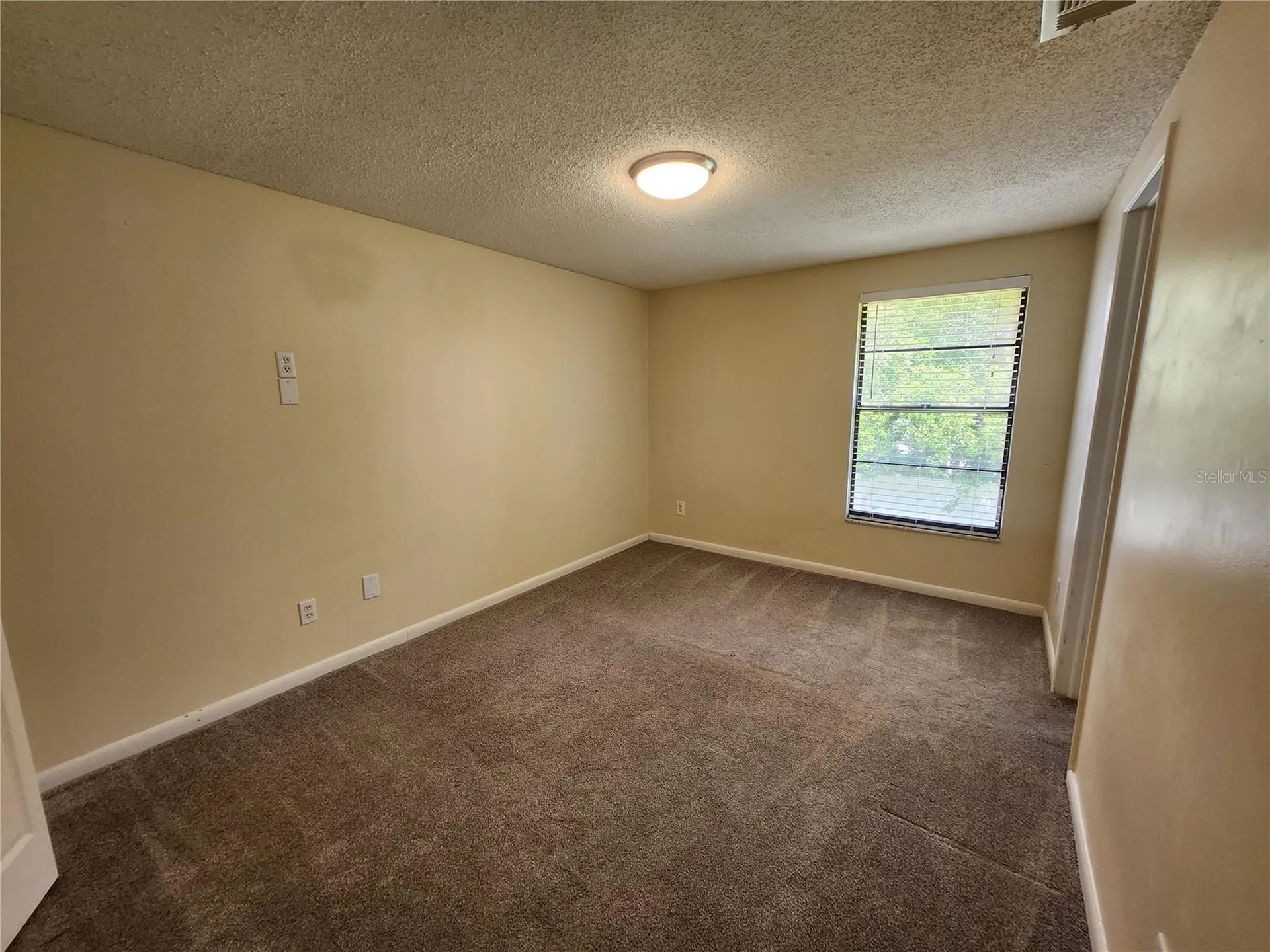 4913 Rockledge Circle Tampa FL 33624