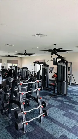 4260 Pebbles Throw Drive Kissimmee FL 34746