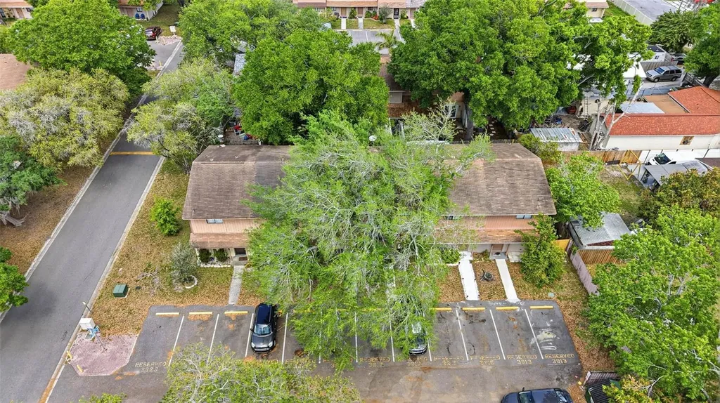 3919 Pine Limb Court Tampa FL 33614