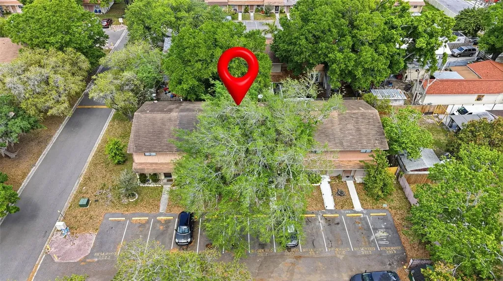 3919 Pine Limb Court Tampa FL 33614