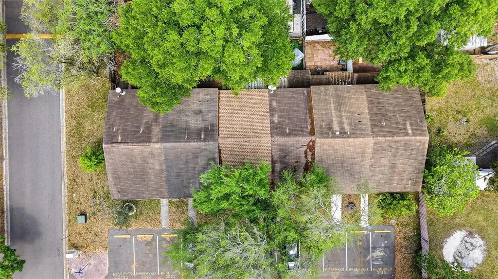 3919 Pine Limb Court Tampa FL 33614
