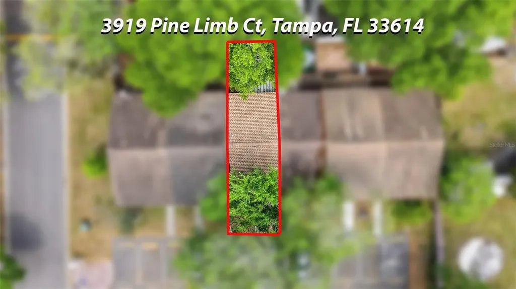3919 Pine Limb Court Tampa FL 33614