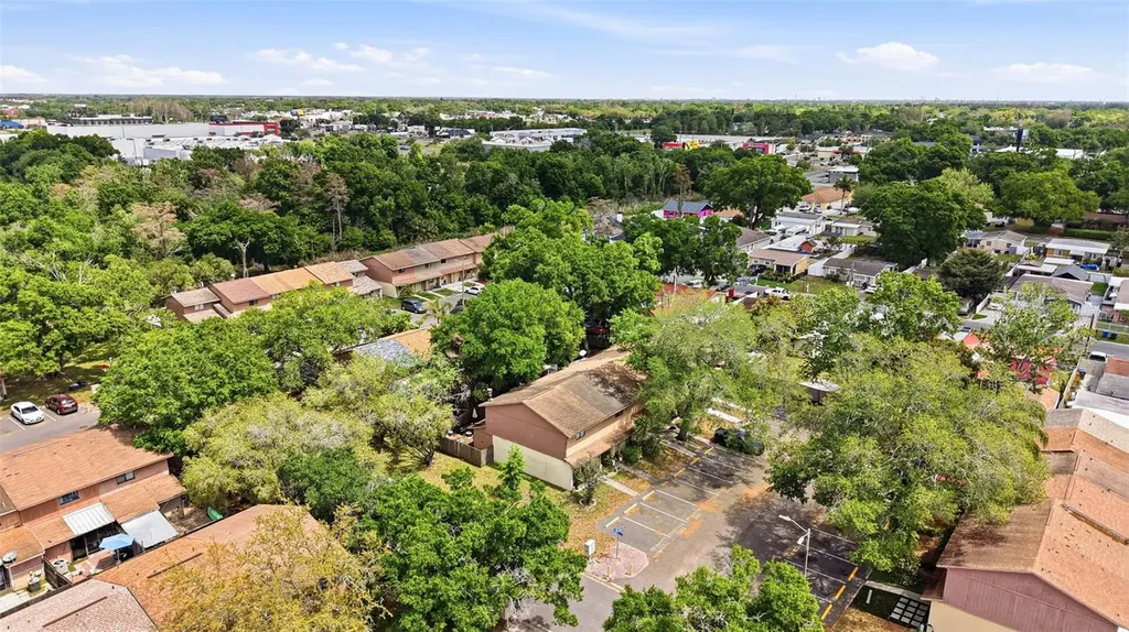 3919 Pine Limb Court Tampa FL 33614