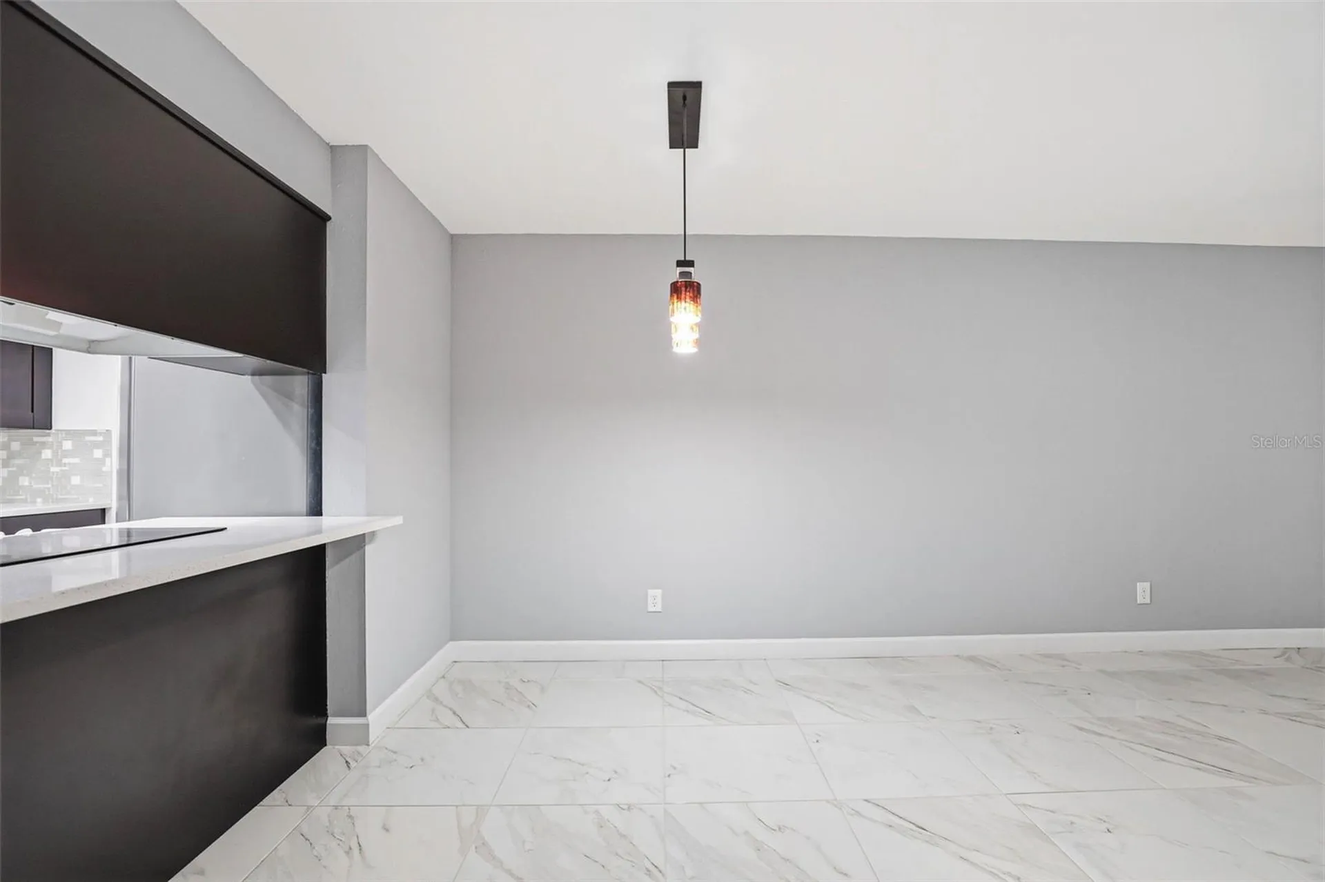 3919 Pine Limb Court Tampa FL 33614