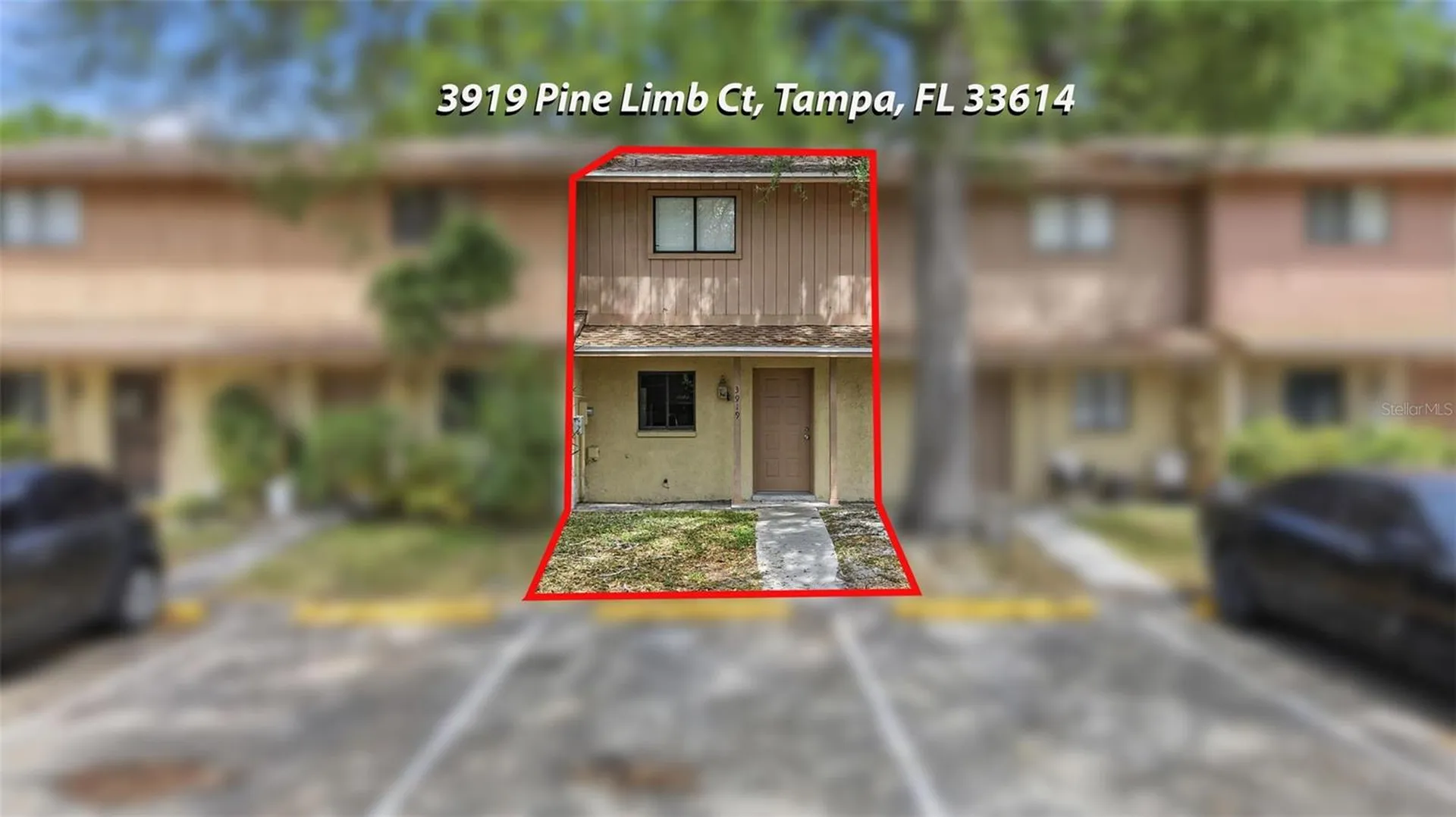 3919 Pine Limb Court Tampa FL 33614