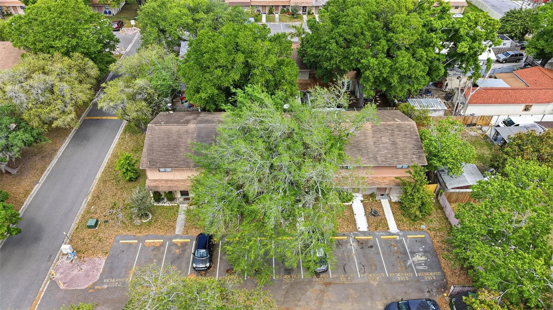 3919 Pine Limb Court Tampa FL 33614