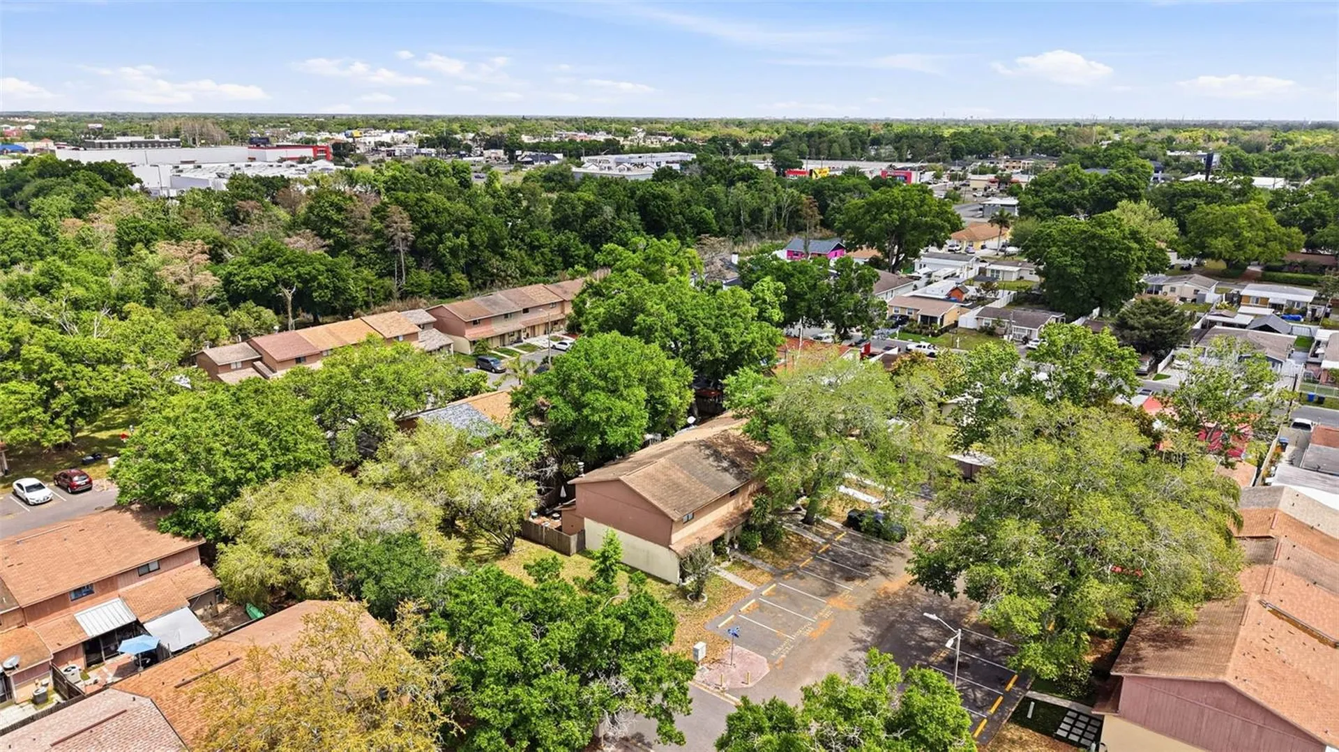 3919 Pine Limb Court Tampa FL 33614