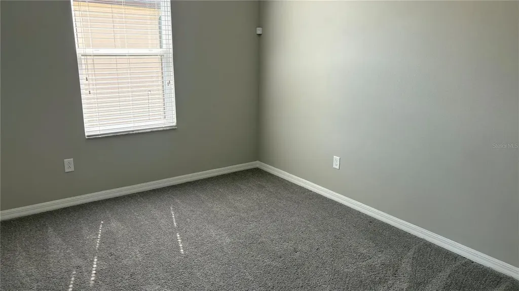 2481 Stapleford Place Wesley Chapel FL 33543
