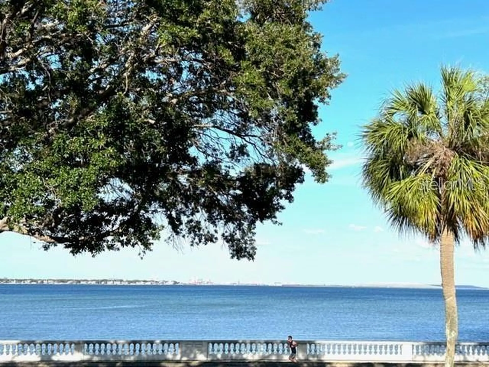 4015 Bayshore Boulevard Tampa FL 33611