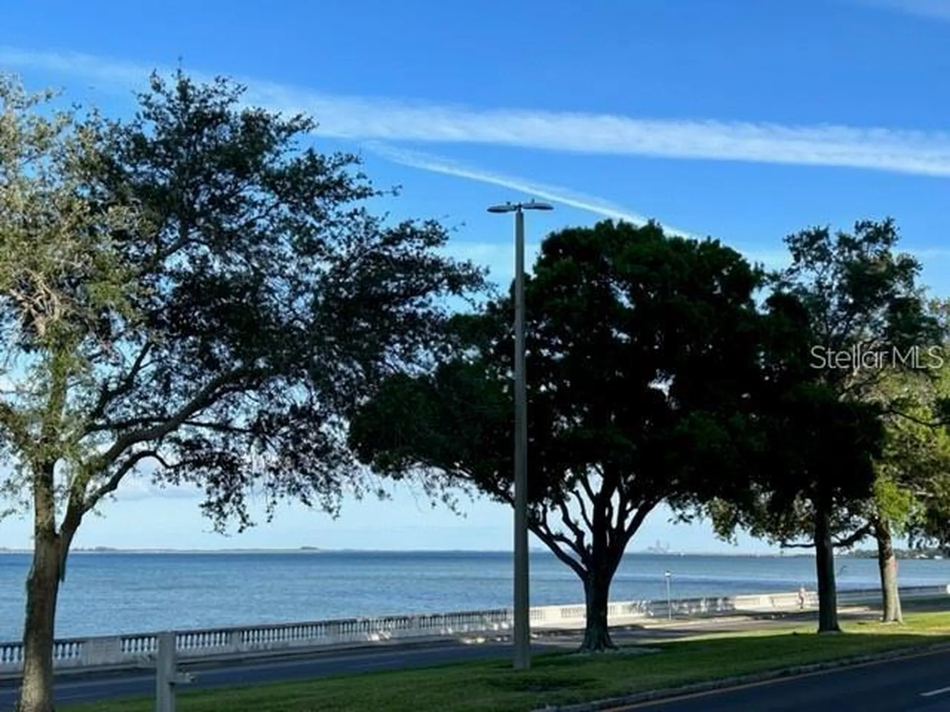 4015 Bayshore Boulevard Tampa FL 33611