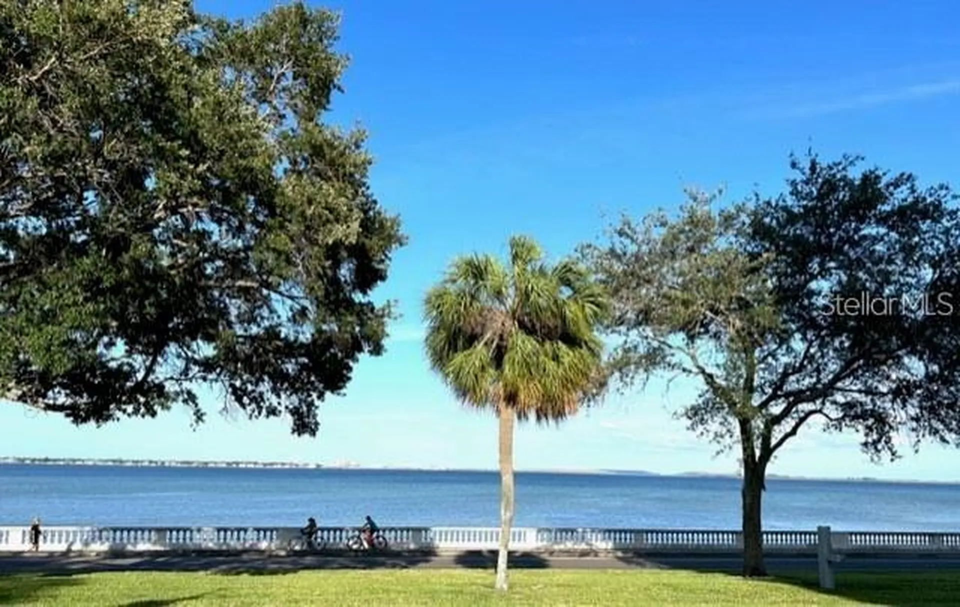 4015 Bayshore Boulevard Tampa FL 33611
