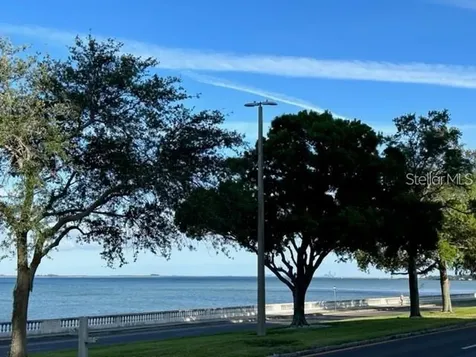 4015 Bayshore Boulevard Tampa FL 33611