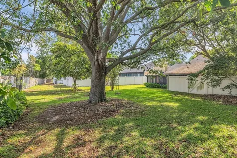 8424 Tangelo Tree Drive Orlando FL 32836
