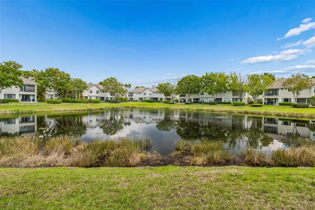 14438 Mirabelle Vista Circle Tampa FL 33626