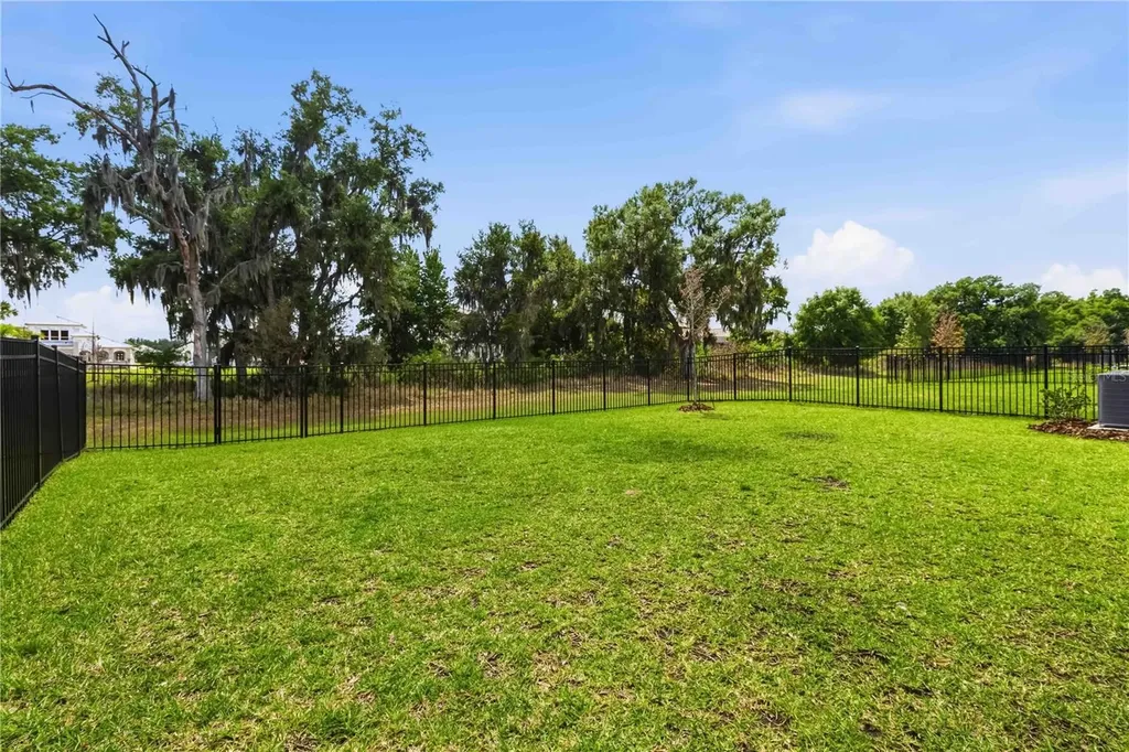 14806 Summer Branch Drive Lithia FL 33547