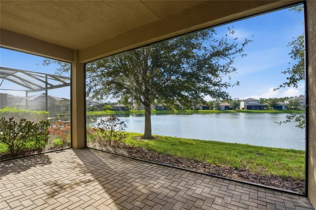 30588 Chesapeake Bay Drive Wesley Chapel FL 33543