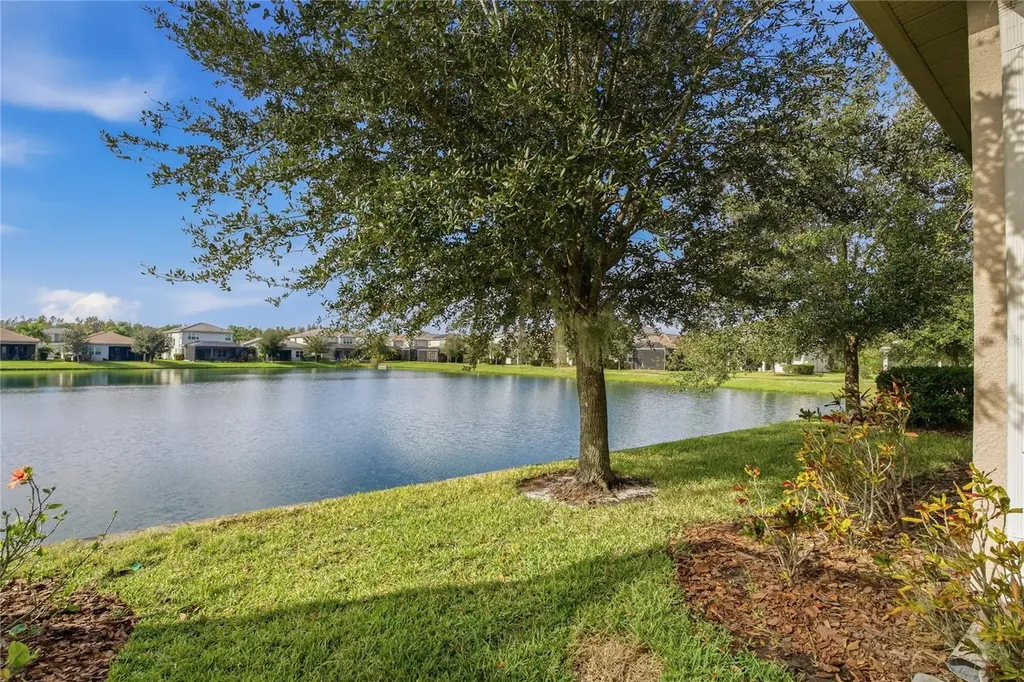 30588 Chesapeake Bay Drive Wesley Chapel FL 33543