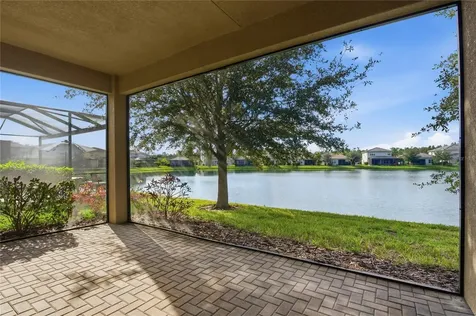 30588 Chesapeake Bay Drive Wesley Chapel FL 33543