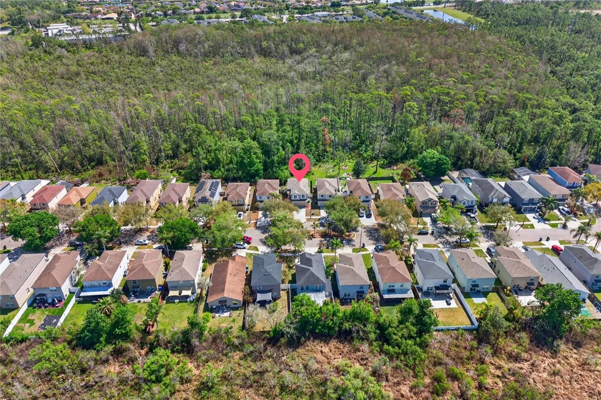 2006 Stone Abbey Boulevard Orlando FL 32828