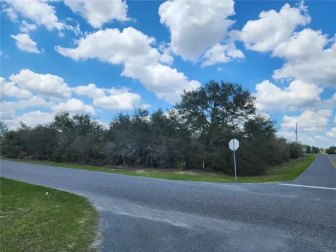 SW 110th Lane Ocala FL 34476