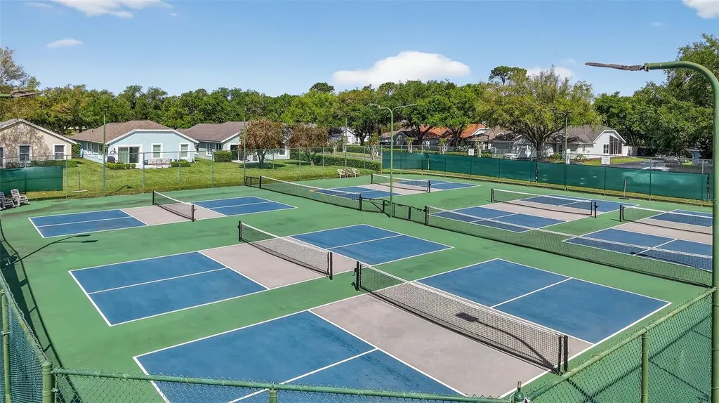 6027 Spring Creek Court Mount Dora FL 32757