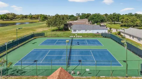 6027 Spring Creek Court Mount Dora FL 32757
