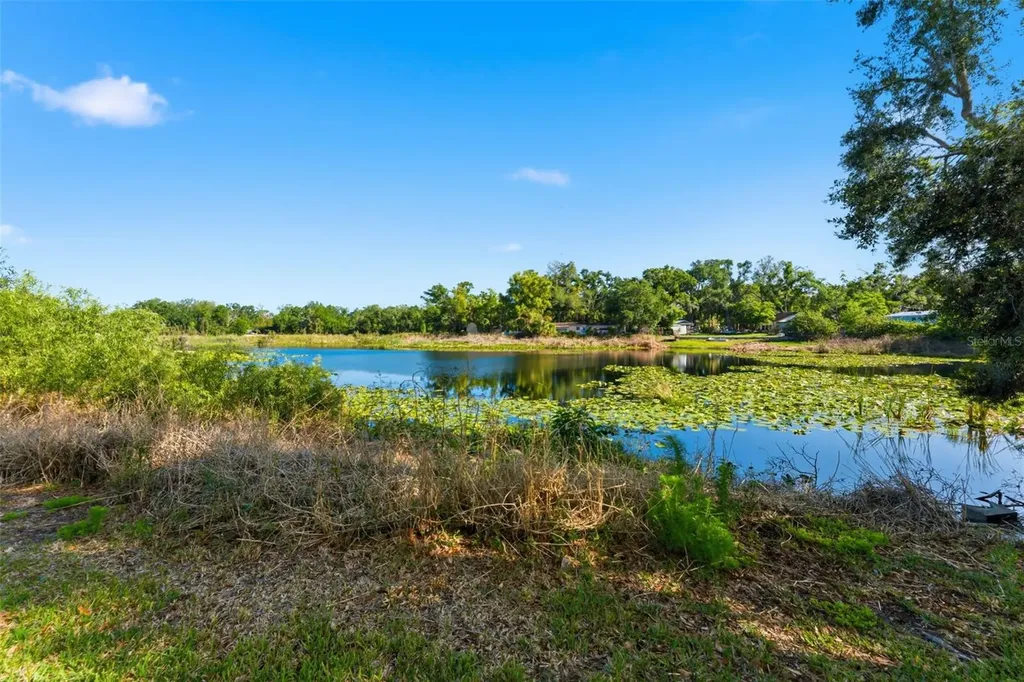 910 Linwood Terrace Lutz FL 33549
