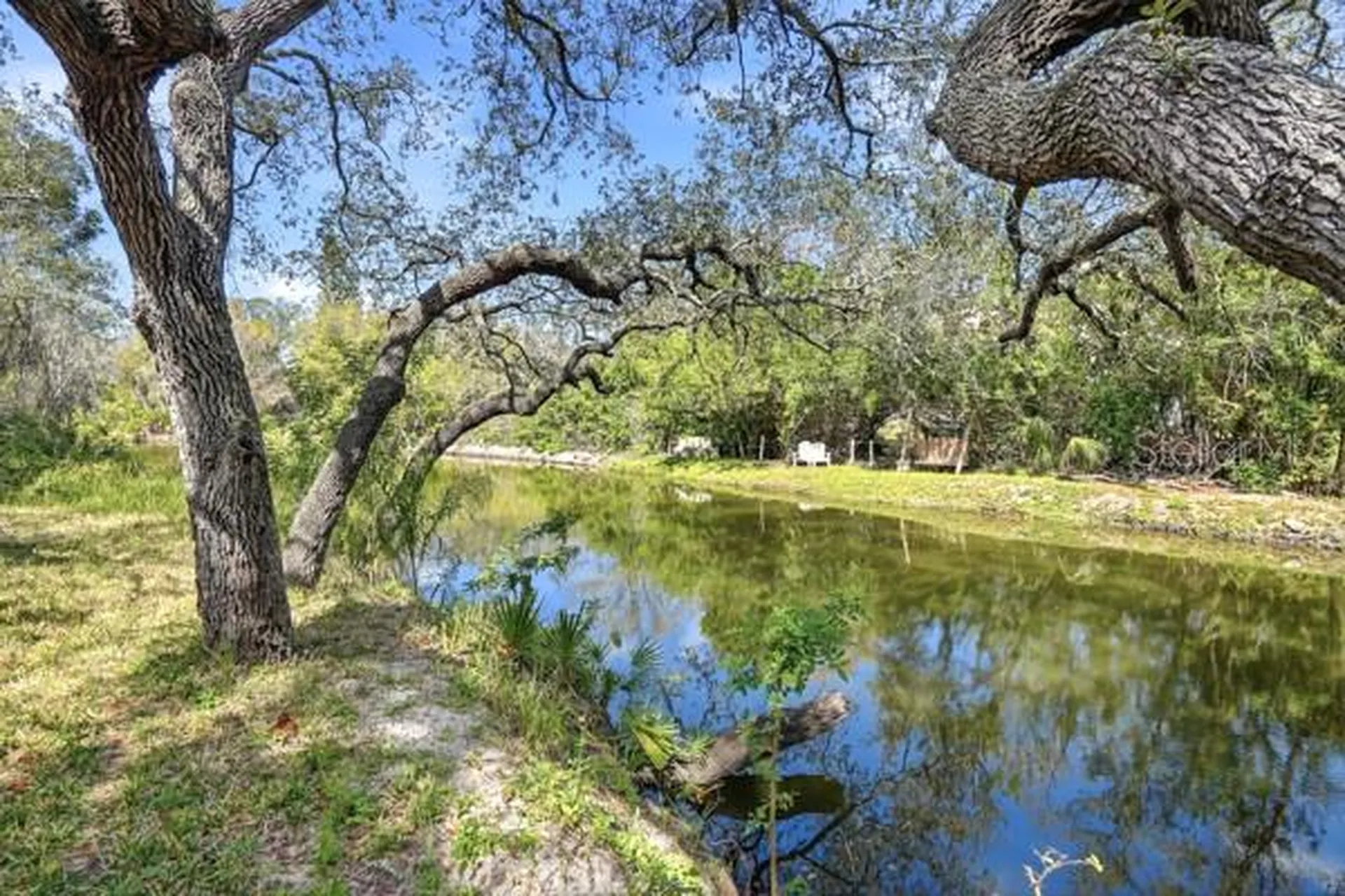 1212 Weybridge Lane Dunedin FL 34698