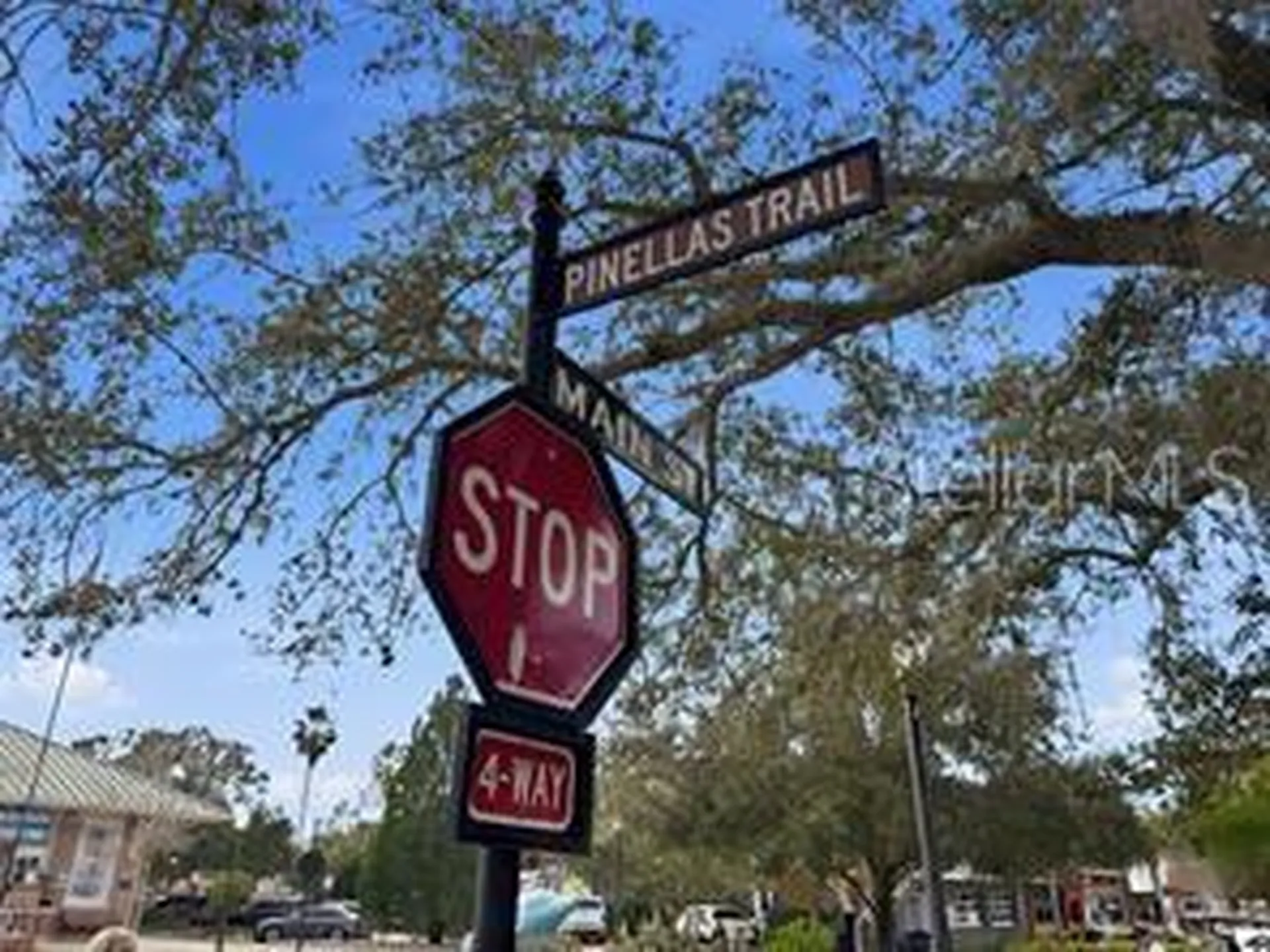 1212 Weybridge Lane Dunedin FL 34698