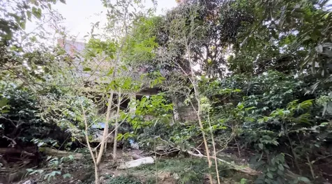 233 Bo Cienaga Alta Malpica Rio Grande PR 00745