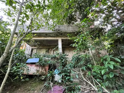 233 Bo Cienaga Alta Malpica Rio Grande PR 00745