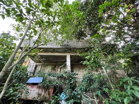 233 Bo Cienaga Alta Malpica Rio Grande PR 00745