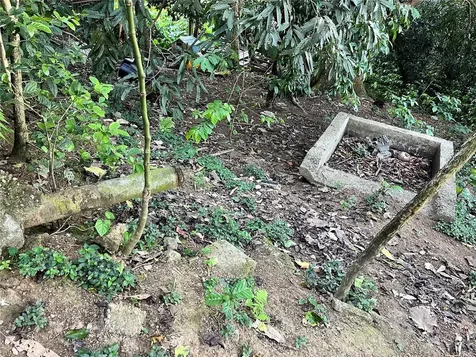 233 Bo Cienaga Alta Malpica Rio Grande PR 00745