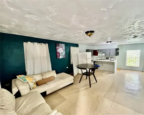 233 Bo Cienaga Alta Malpica Rio Grande PR 00745