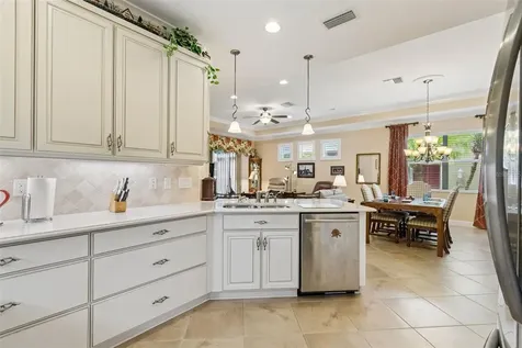 2306 Oakley Green Drive Sun City Center FL 33573