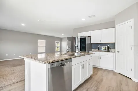 14649 Brumby Ridge Avenue Lithia FL 33547