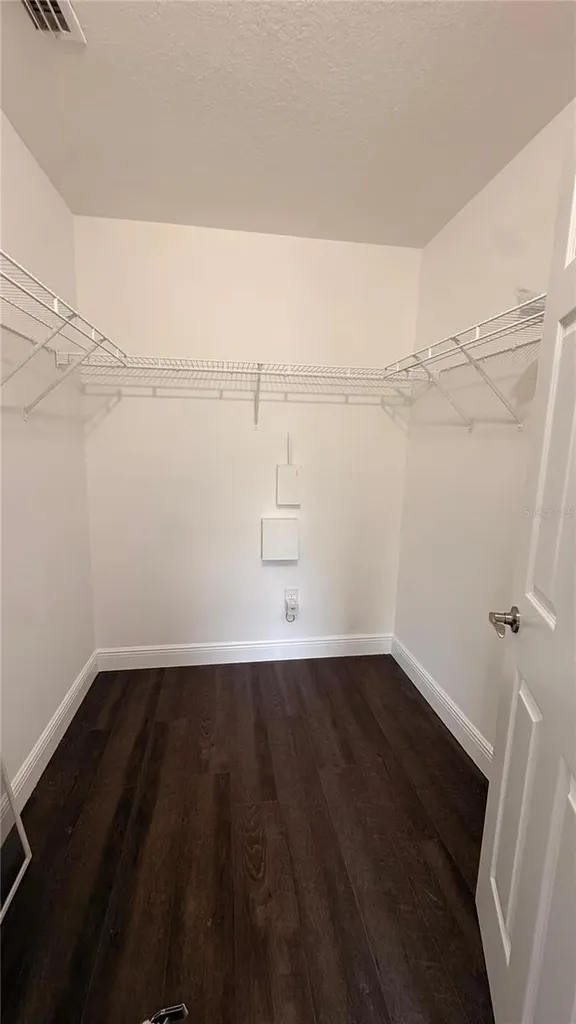 6236 Olivedale Drive Riverview FL 33578
