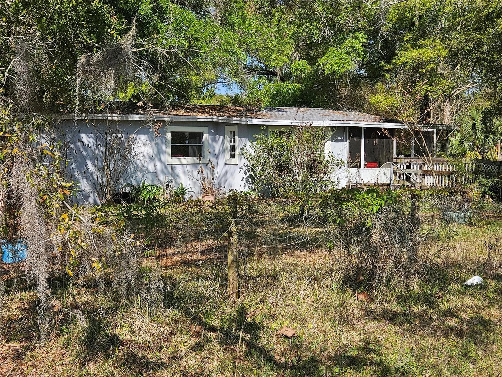 6417 Saddletree Drive Wesley Chapel FL 33544