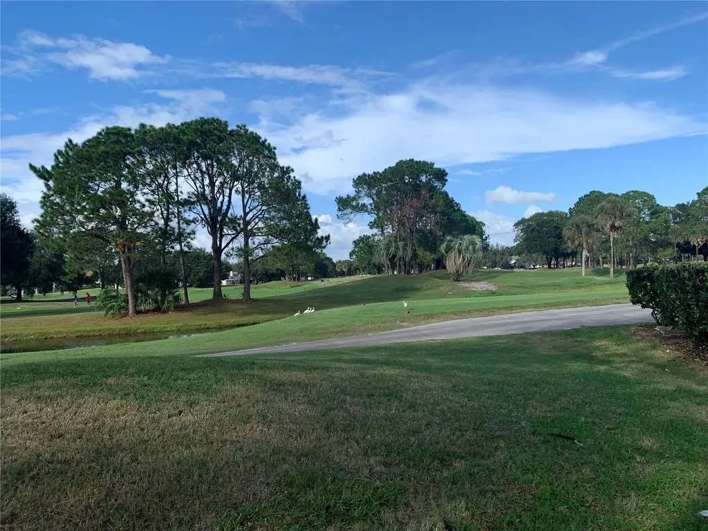 8718 Imperial Court Tampa FL 33635