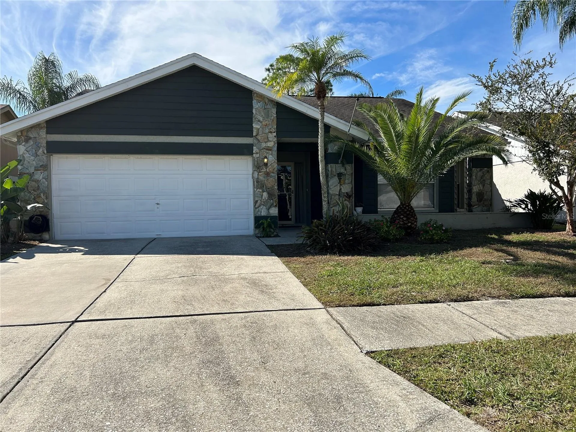 8718 Imperial Court Tampa FL 33635