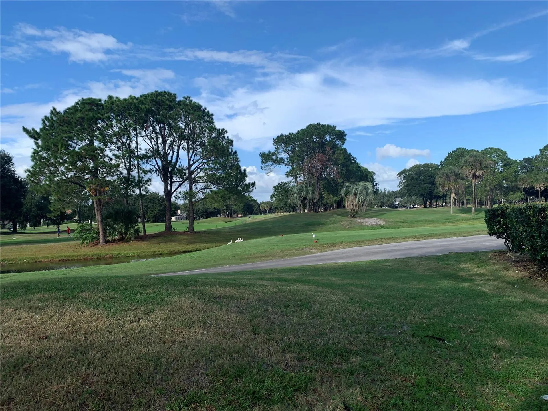 8718 Imperial Court Tampa FL 33635