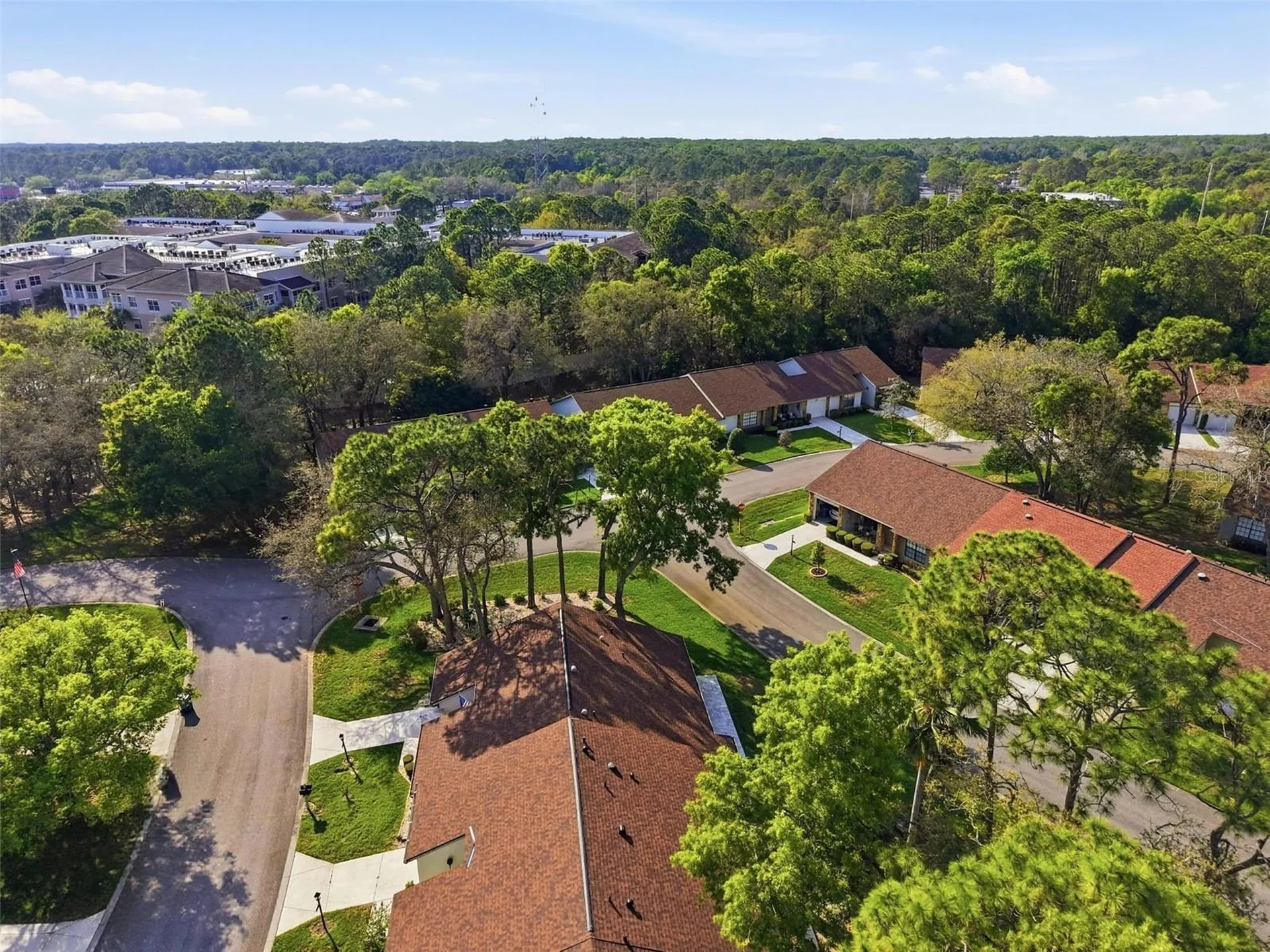 6575 Brambleleaf Drive Spring Hill FL 34606