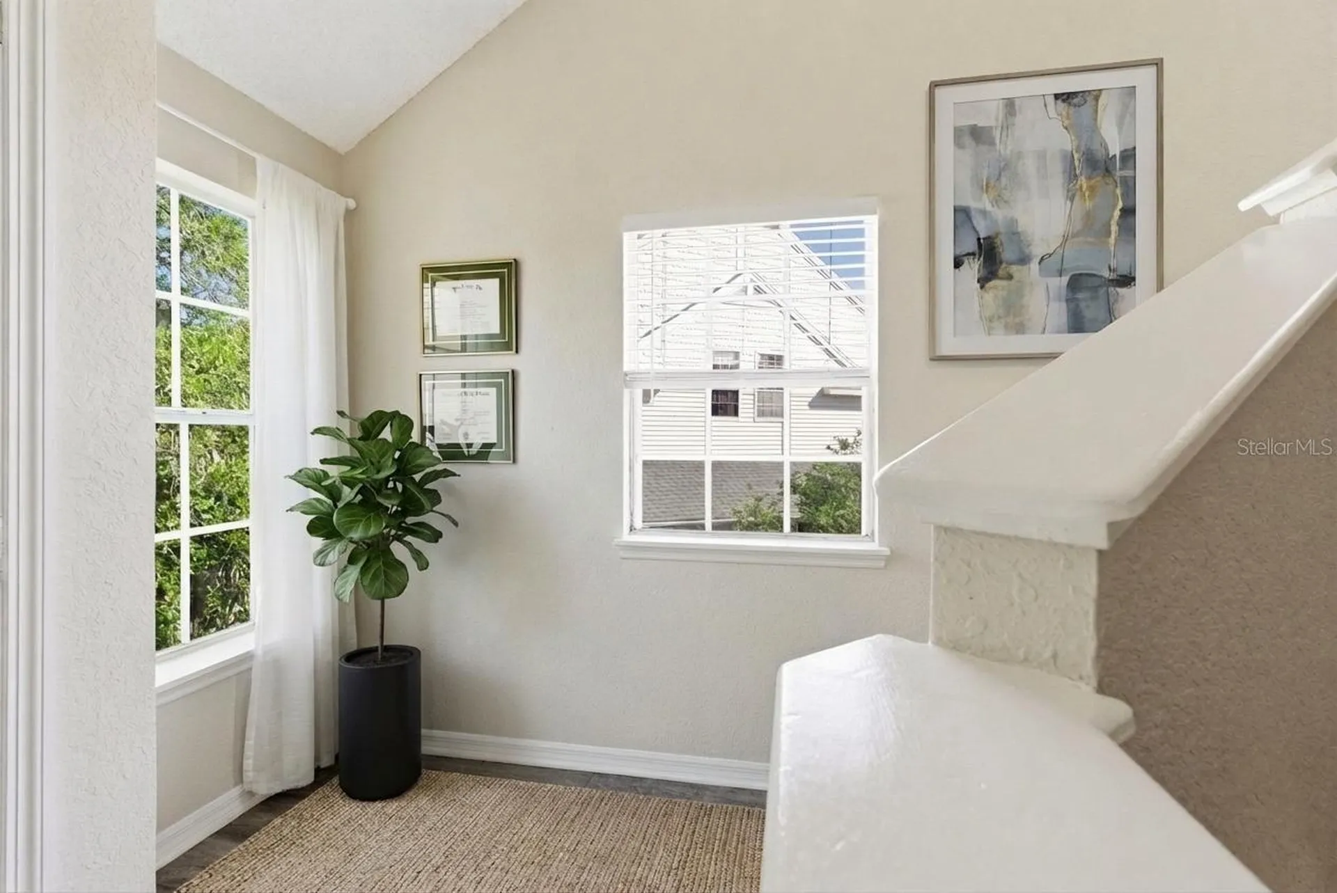3300 Haviland Court Palm Harbor FL 34684