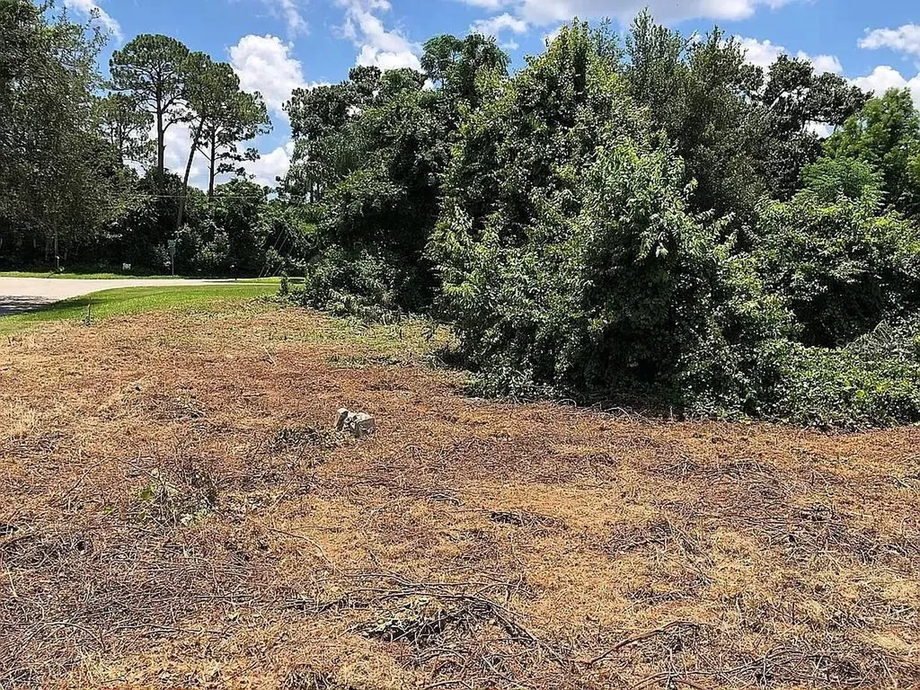 257 Lake Lane Debary FL 32713