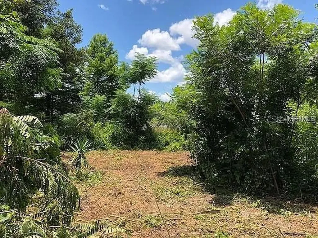 257 Lake Lane Debary FL 32713