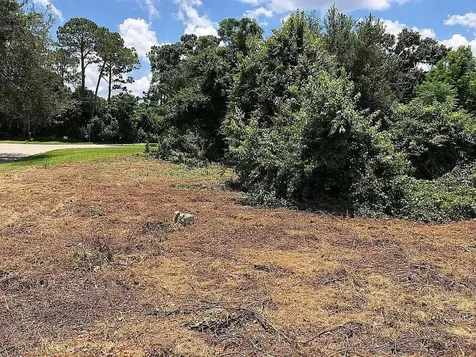 257 Lake Lane Debary FL 32713