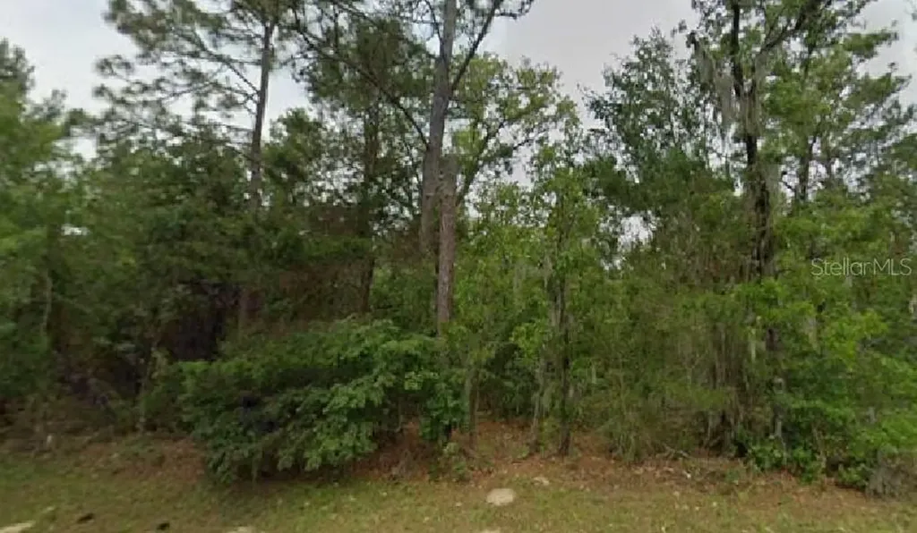 Marion Oaks Boulevard Ocala FL 34473